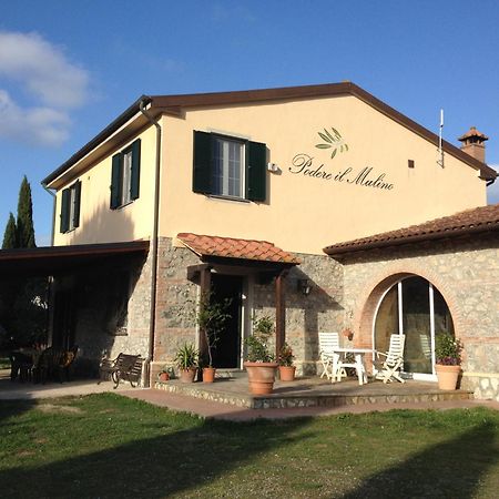 Podere Il Mulino Pieve di Santa Luce Zewnętrze zdjęcie
