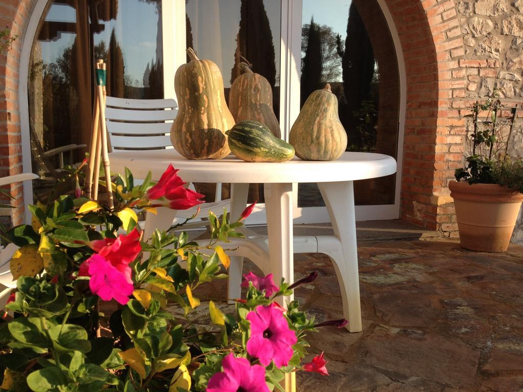 Podere Il Mulino Pieve di Santa Luce Zewnętrze zdjęcie